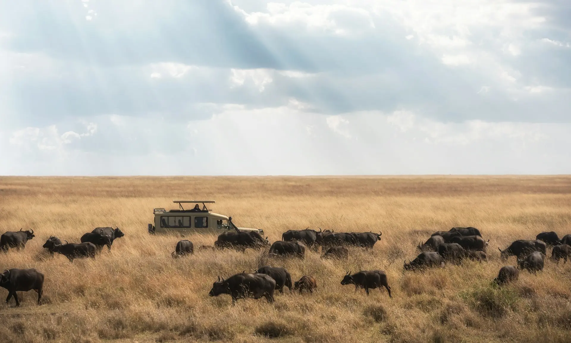 Tanzanie